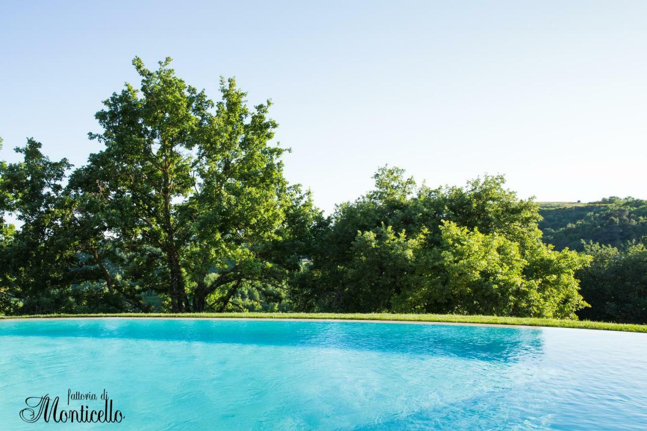 San Venanzo Agriturismo Fattoria Di Monticello מראה חיצוני תמונה