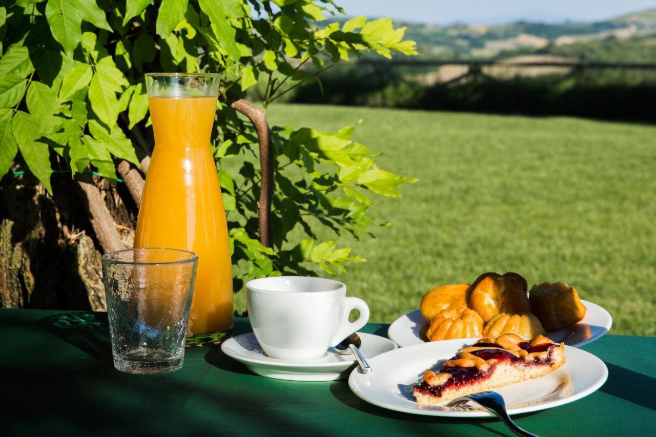 San Venanzo Agriturismo Fattoria Di Monticello מראה חיצוני תמונה